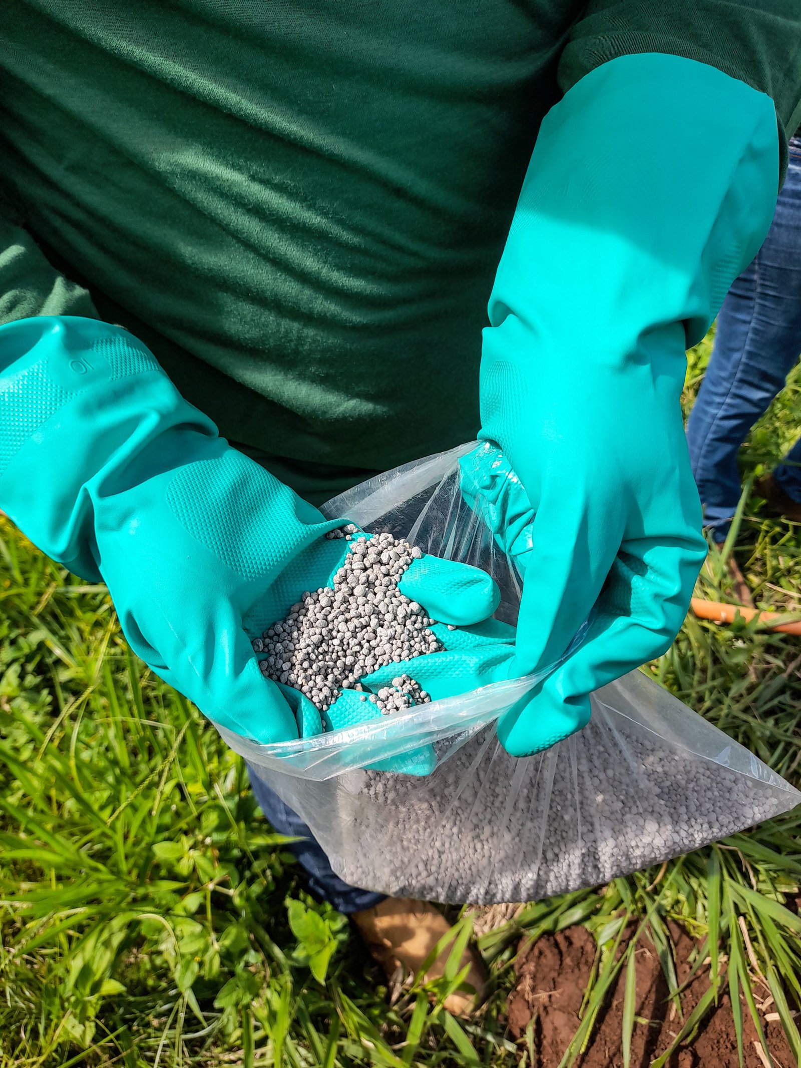 Abonos y fertilizantes para huerto y jardín