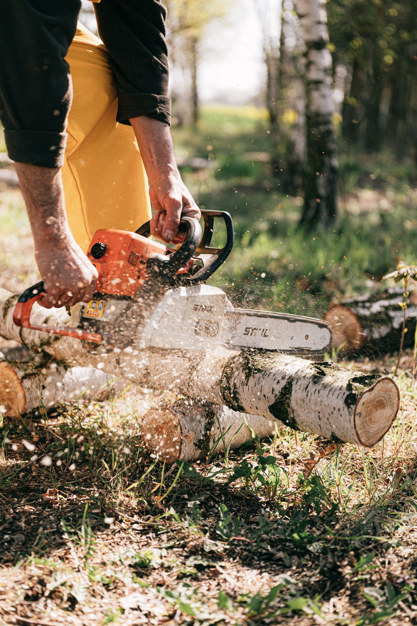 Motosierras Stihl para uso agrícola y forestal
